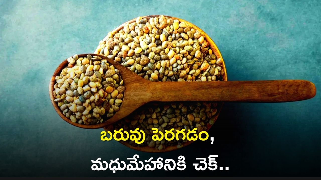 Eating Horse Gram Legume Can Control Diabetes And Weight Loss Horse