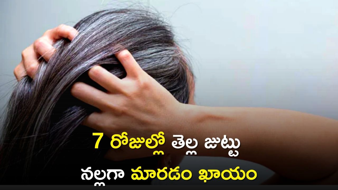 Premature White Hair: ఇలా చేస్తే 7 రోజుల్లో తెల్ల జుట్టు నల్లగా మారడం ఖాయం..