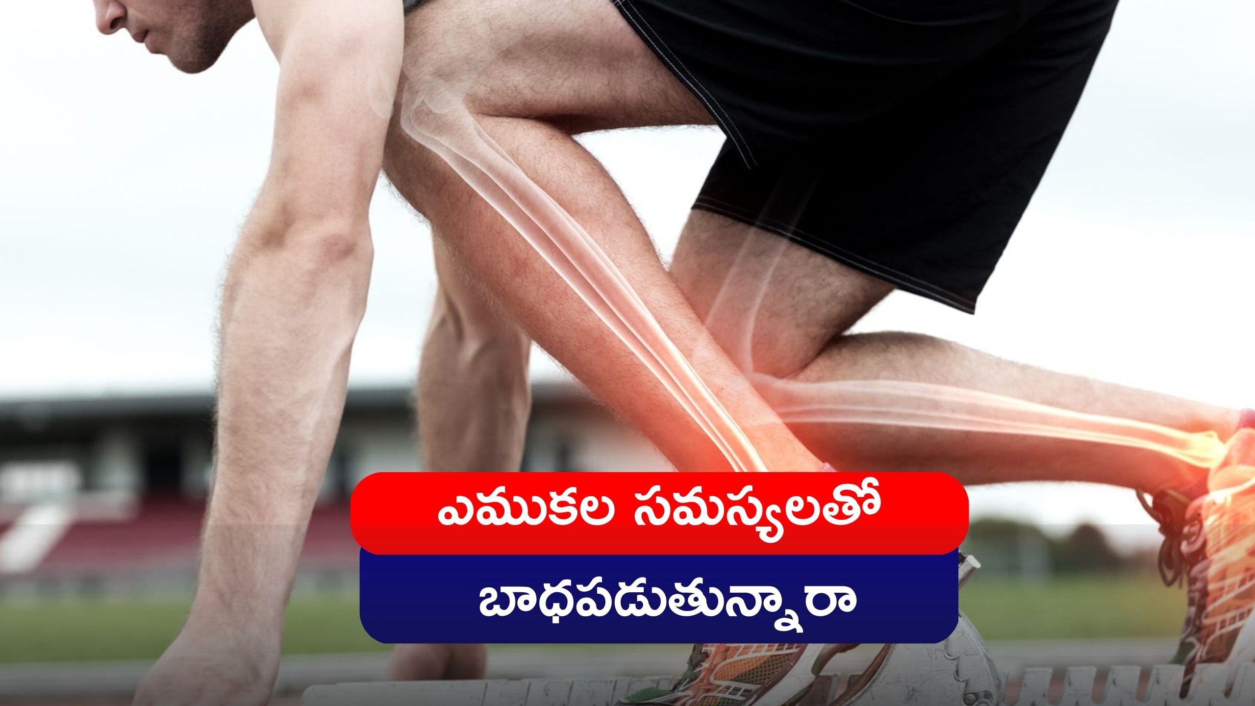  Foods For Strong Bones: ఎలాంటి ఖర్చులేకుండా మీ ఎముకలు ఇలా దృఢంగా చేసుకోవచ్చు..