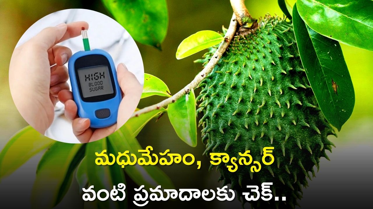 Diet For Diabetes: లక్ష్మణఫలం మధుమేహం, క్యాన్సర్ వంటి ప్రమాదాన్ని తగ్గిస్తుందా?