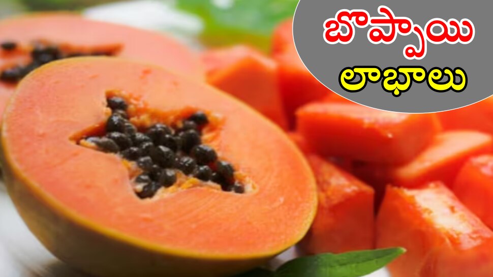 Papaya Benefits: బొప్పాయితో బోలెడు ప్రయోజనాలు.. తెలిస్తే తినకుండా ఉండలేరు..