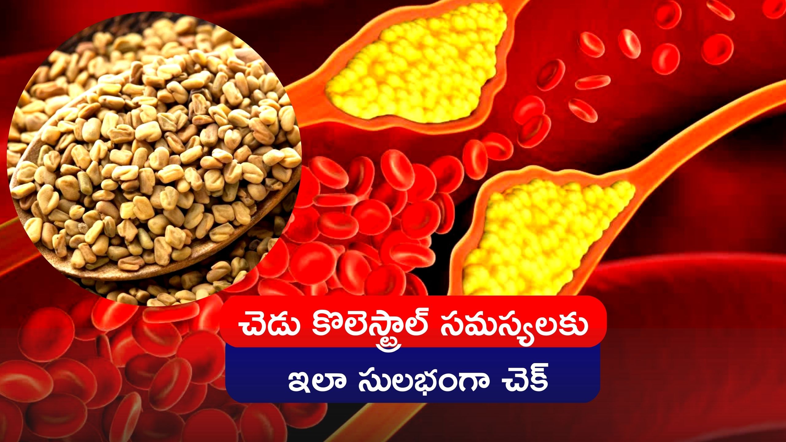 Cholesterol Diet Drinking Fenugreek Seeds Water Every Day Reduces Bad