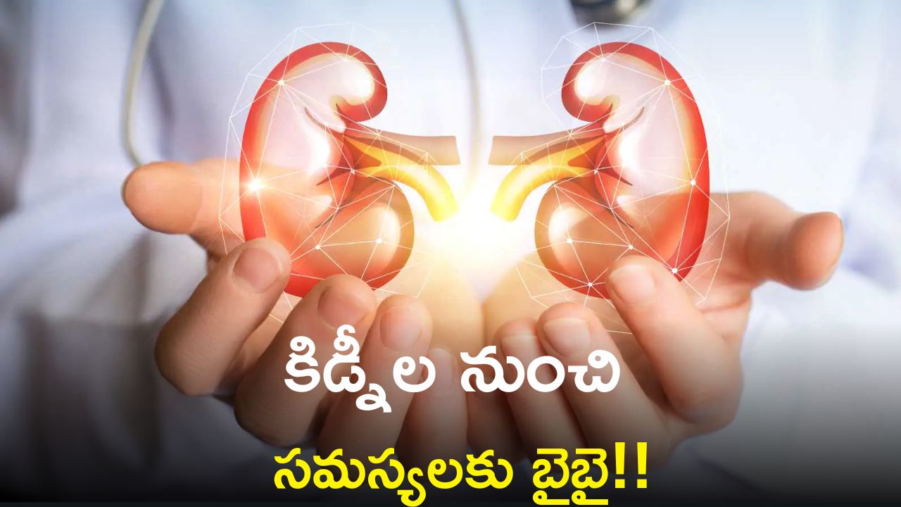  Kidney Health: మీ కిడ్నీలు హెల్తీగా ఉండడానికి అద్భుతమైన ఆహారాలు!