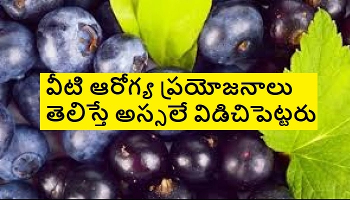 Blueberries Health Benefits: బ్లూబెర్రీస్.. తింటే ఆల్ హ్యాపీస్