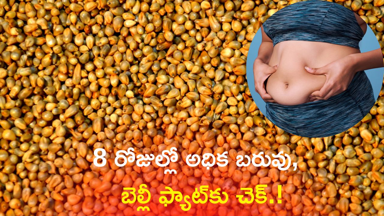 Pearl Millets For Reduce Belly Fat Eating Pearl Millets Rotis Reduce