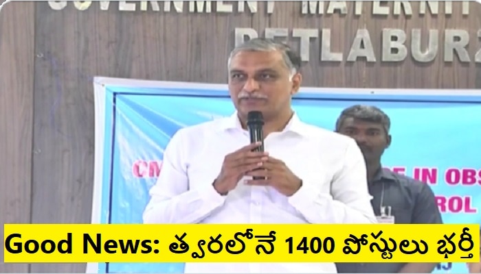 Minister Harish Rao Speech: ప్రభుత్వ ఆస్పత్రుల్లో టిఫా స్కాన్ ఎందుకు చేయడం లేదని మండిపడిన మంత్రి