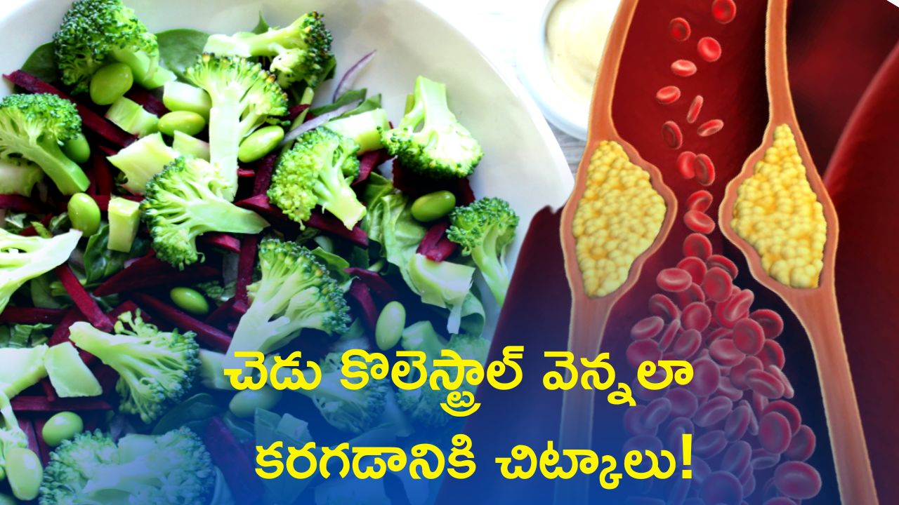 Reduce Cholesterol: చెడు కొలెస్ట్రాల్ వెన్నలా 8 రోజుల్లో కరగడానికి అద్భుతమైన చిట్కాలు.!