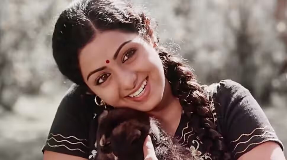 Sridevi Death Anniversary: సద్మా నుంచి ఇంగ్లీష్ వింగ్లీష్ వరకూ సాగిన ప్రస్థానం మరణం ఇప్పటికీ మిస్టరీనే