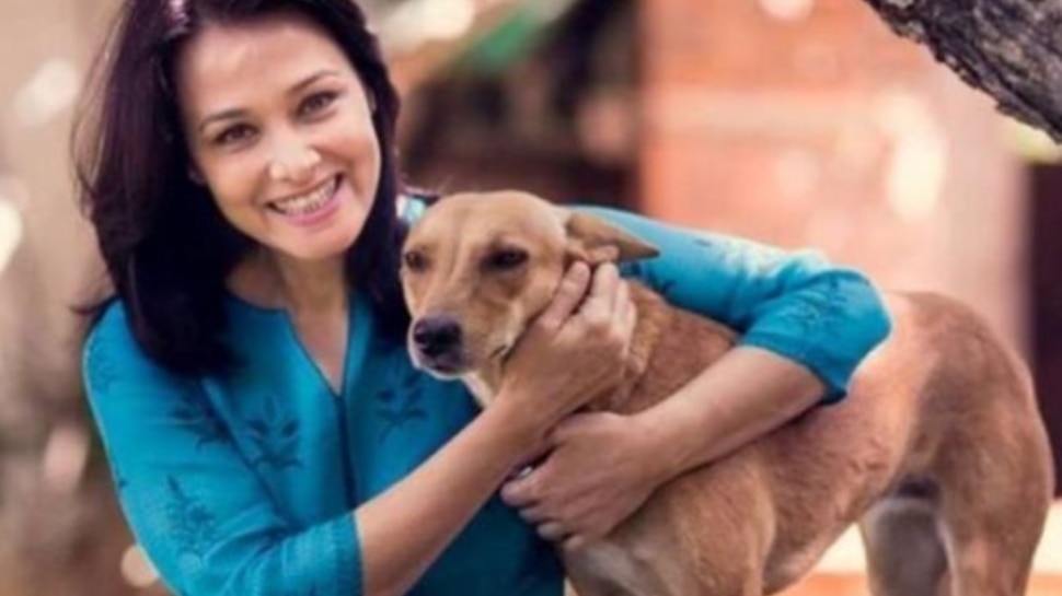 Amala Akkineni : కుక్కల మీద అలాంటి కామెంట్లు చేసిందా?.. అమల నిజంగానే అలా అనేసిందా