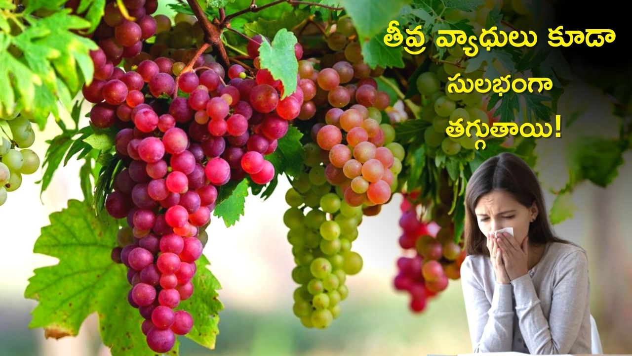 Benefits Of Green Grapes Tuberculosis Cancer And Blood Infections Are