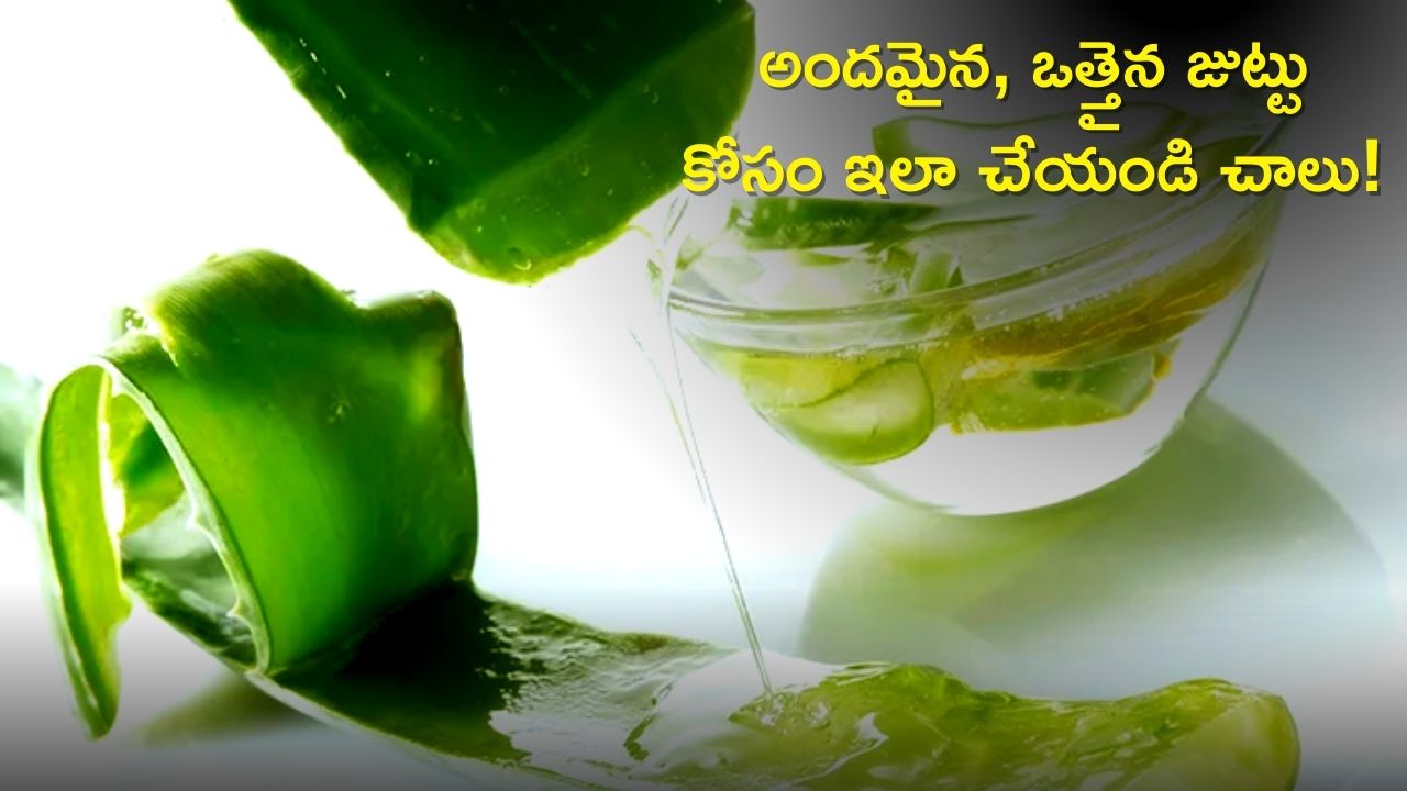 Aloe Vera Hair Mask: అందమైన, ఒత్తైన జుట్టు కోసం ఇలా చేయండి చాలు, మీరు పొందడం ఖాయం!