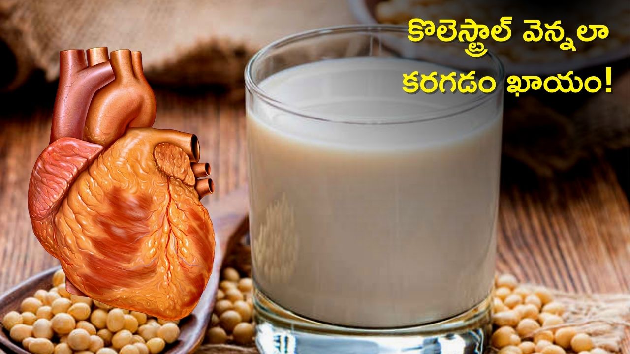 Soy Milk Benefits Drinking Soy Milk Every Day Reduces Bad Cholesterol