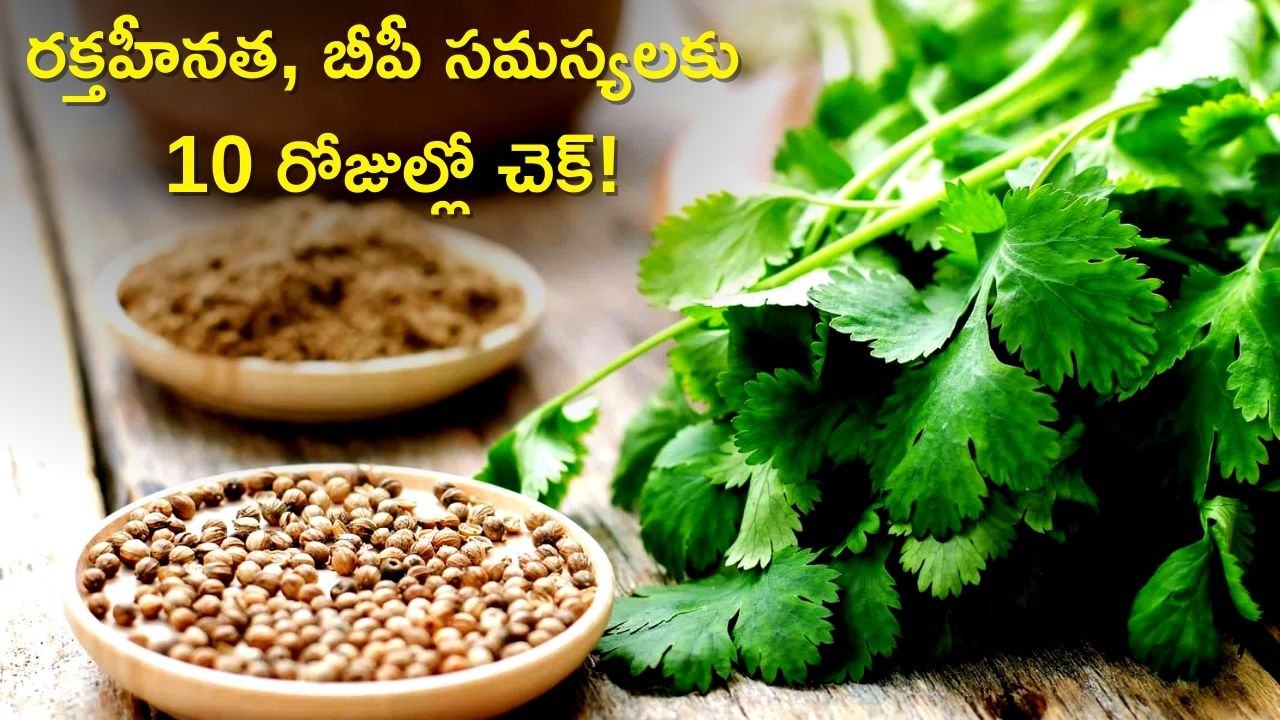 How To Reduce High Blood Pressure Drinking Coriander Decoction Every