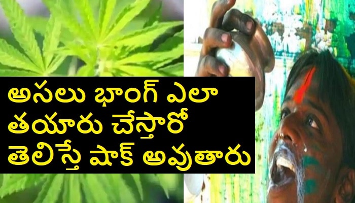 Health Benefits of Bhang: భాంగ్ అంటే ఏంటి ? ఎలా తయారు చేస్తారు ? ఇది తాగితే ఏమవుతుంది ?