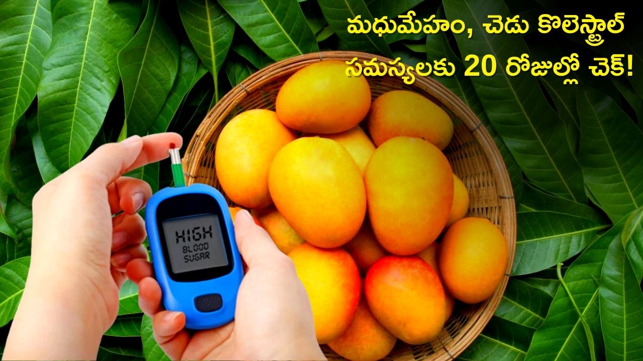 Manabe Mango Manage Blood Sugar: Drinking Mango Leaves Juice Every Day Can Reduce ...