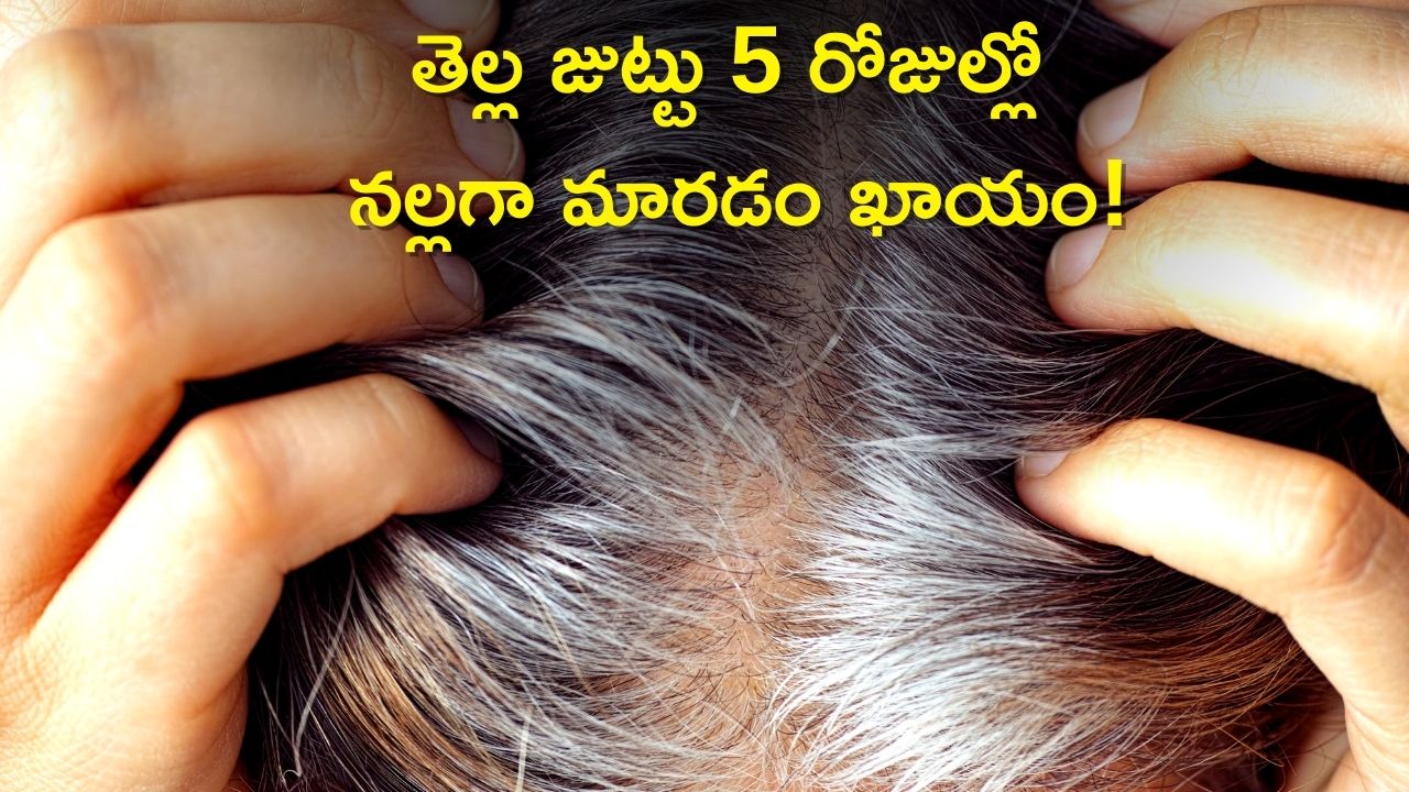 White Hair to Black: మెంతి ఆకులతో 5 రోజుల్లోనే తెల్ల జుట్టు నల్లగా మారటం ఖాయం.. నమ్మట్లేదా..? ఇది చదవండి 