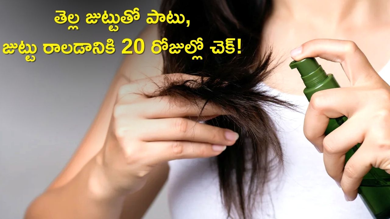 Home Made Oil for Hair Loss: అవకాడో నూనెతో తెల్ల జుట్టు సమస్యలే కాదు.. జుట్టు రాలడాన్ని 20 రోజుల్లో చెక్ పెట్టొచ్చు 