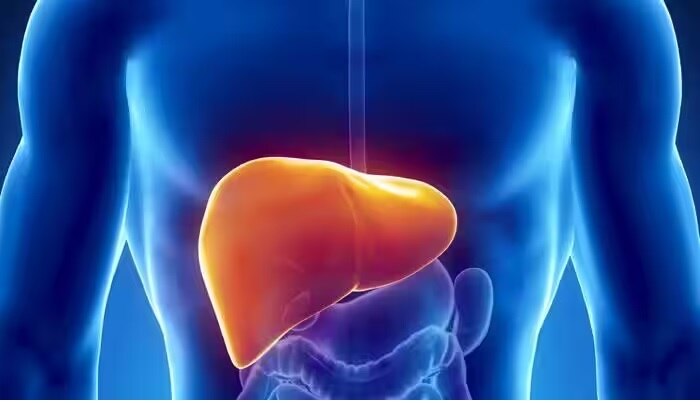 Unhealthy Liver Signs: మీలో ఈ లక్షణాలు గమనించారా..? అయితే మీ లివర్ ఆరోగ్యంగా లేదని అర్థం