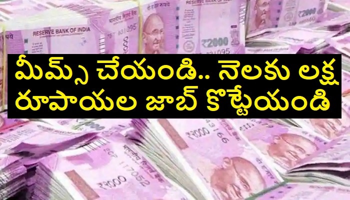 Rs 1 lakh Monthly Salary Job: మీకు మీమ్స్ చేయడం వచ్చా ? నెలకు లక్ష రూపాయల శాలరీ ఇచ్చే జాబ్ రెడీ