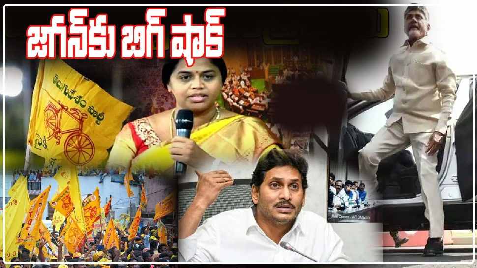 Panchumarthi Anuradha: జగన్ కు బిగ్ షాక్.. ఎమ్మెల్సీ ఎన్నికల్లో టీడీపీ పంచుమర్తి అనురాధ గెలుపు!