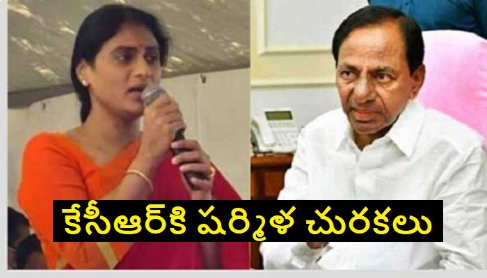 YS Sharmila Slams KCR: నువ్వు దేశంమీద పడతావ్ కానీ.. నేను తెలంగాణకు రావొద్దా.. కేసీఆర్‌కి వైఎస్ షర్మిళ చురకలు