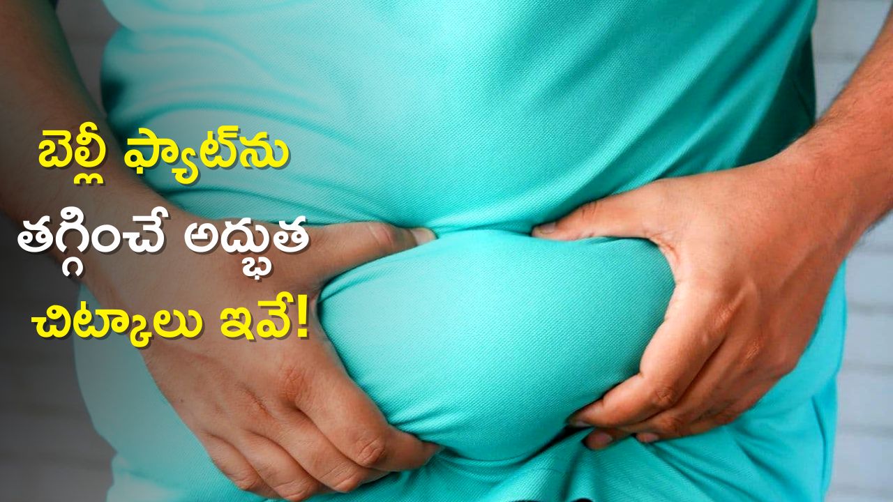 Weight Control Diet Plan: వేసవిలో బెల్లీ ఫ్యాట్‌ను తగ్గించే అద్భుత చిట్కాలు ఇవే!