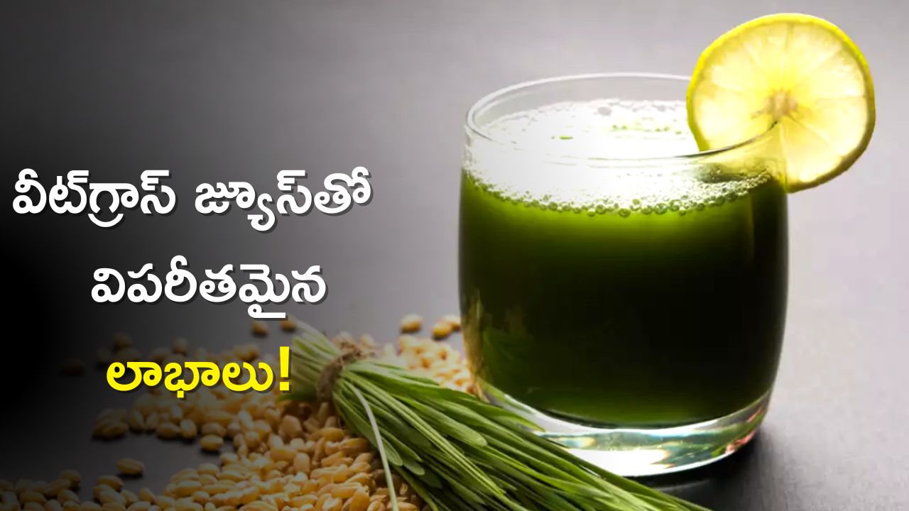 Wheatgrass Juice Benefits Weight Loss in 50 Days with Wheatgrass Juice