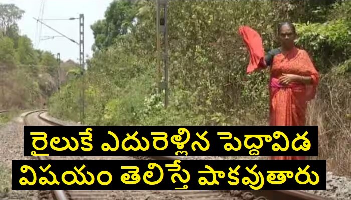 Old age Woman Stops Train: ప్రాణాలకు తెగించి భారీ రైలు ప్రమాదాన్ని నివారించిన 70 ఏళ్ల బామ్మ