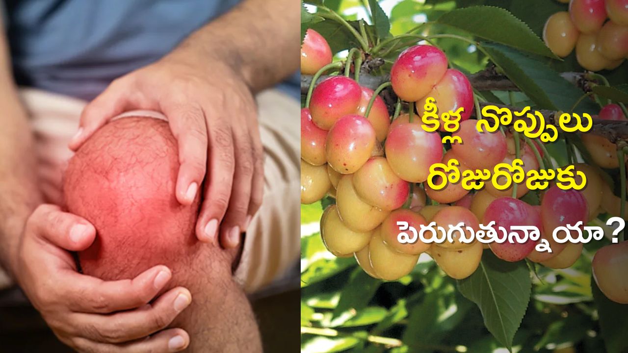Tomato Orange Cherry Reduce Uric Acid give relief from Arthritis in 2