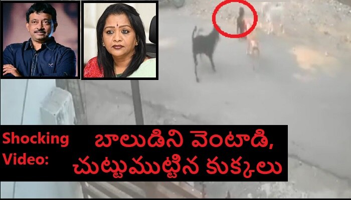 RGV on Dogs Attacking Boy: బాలుడిపై కుక్కల దాడి వీడియో.. మరోసారి మేయర్ విజయలక్ష్మికి వర్మ ట్యాగ్.. అసలు ట్విస్ట్ వేరే ఉంది