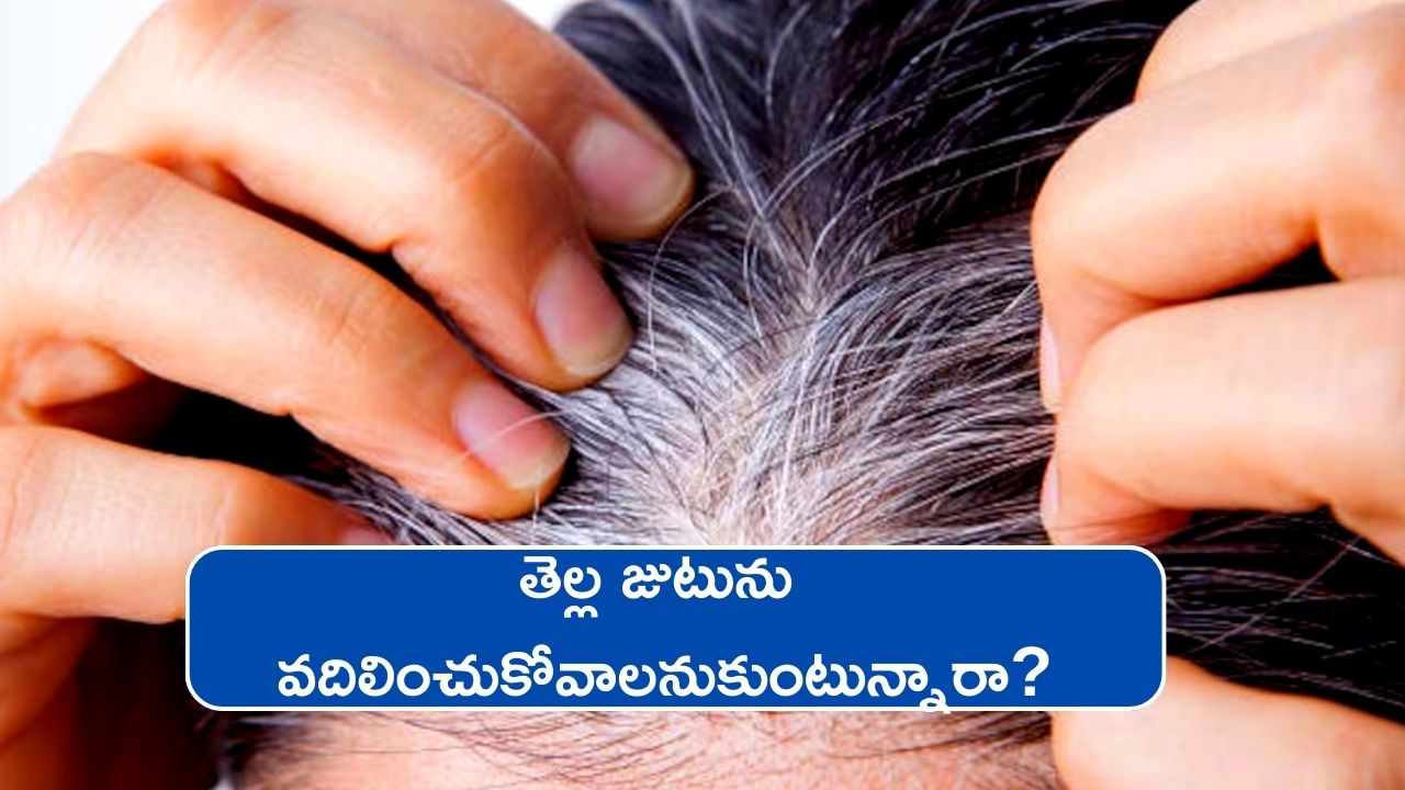 White Hair Treatment: తెల్ల జుటును వదిలించుకోవాలనుకుంటున్నారా? అయితే ఈ ఆహారాలో చెక్‌ పెట్టొచ్చు!