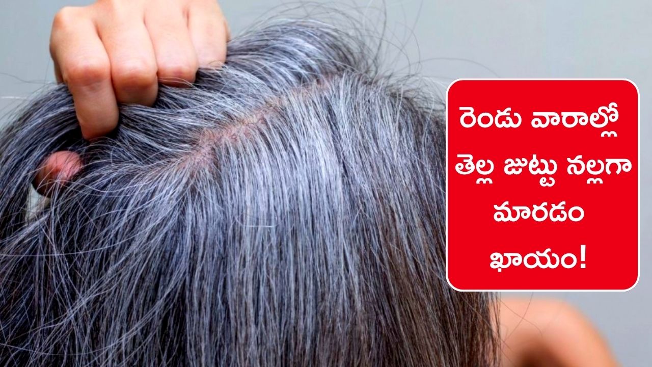 White Hair To Black Hair: రెండు వారాల్లో తెల్ల జుట్టు నల్లగా మారడం ఖాయం!, నమ్మట్లేదా?