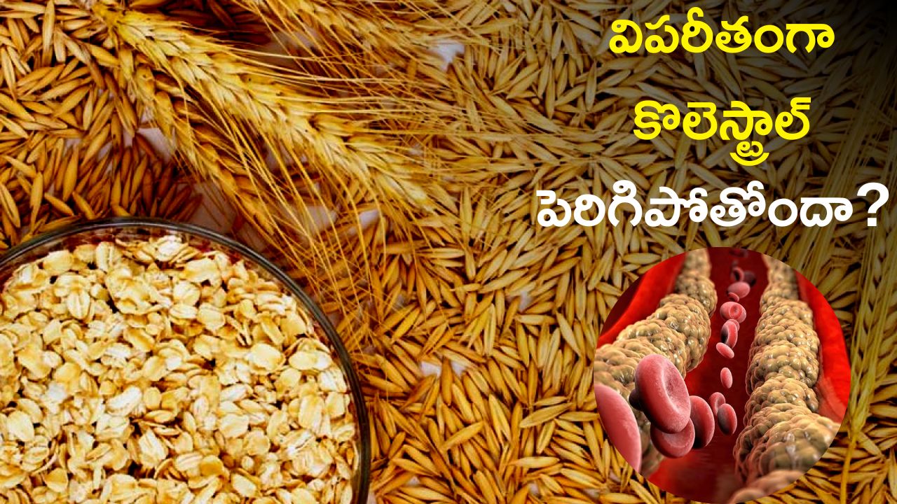 Reduce Cholesterol In 7 Days with Barley Oats and Almonds, Cholesterol