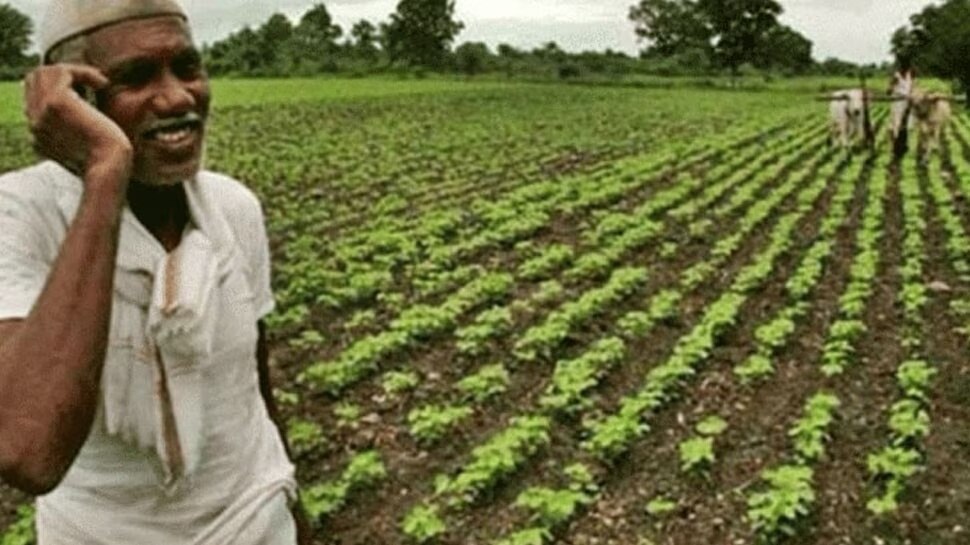 Millet Cultivation: ఈ రాష్ట్ర రైతులకు గుడ్‌న్యూస్.. 100 శాతం సబ్సిడీ..!