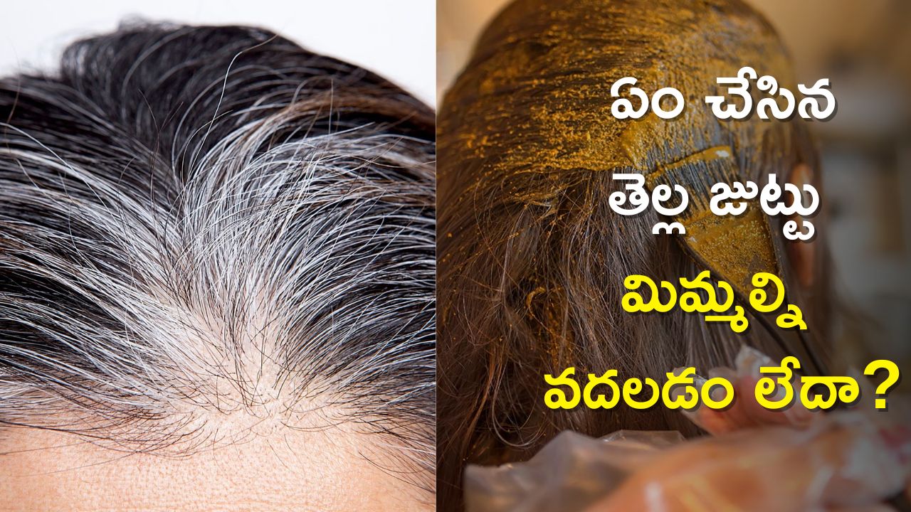  White Hair Solution: ఏం చేసిన తెల్ల జుట్టు మిమ్మల్ని వదలడం లేదా?, ఎలాంటి ఖర్చు లేకుండా ఇలా 20 నిమిషాల్లో చెక్‌!