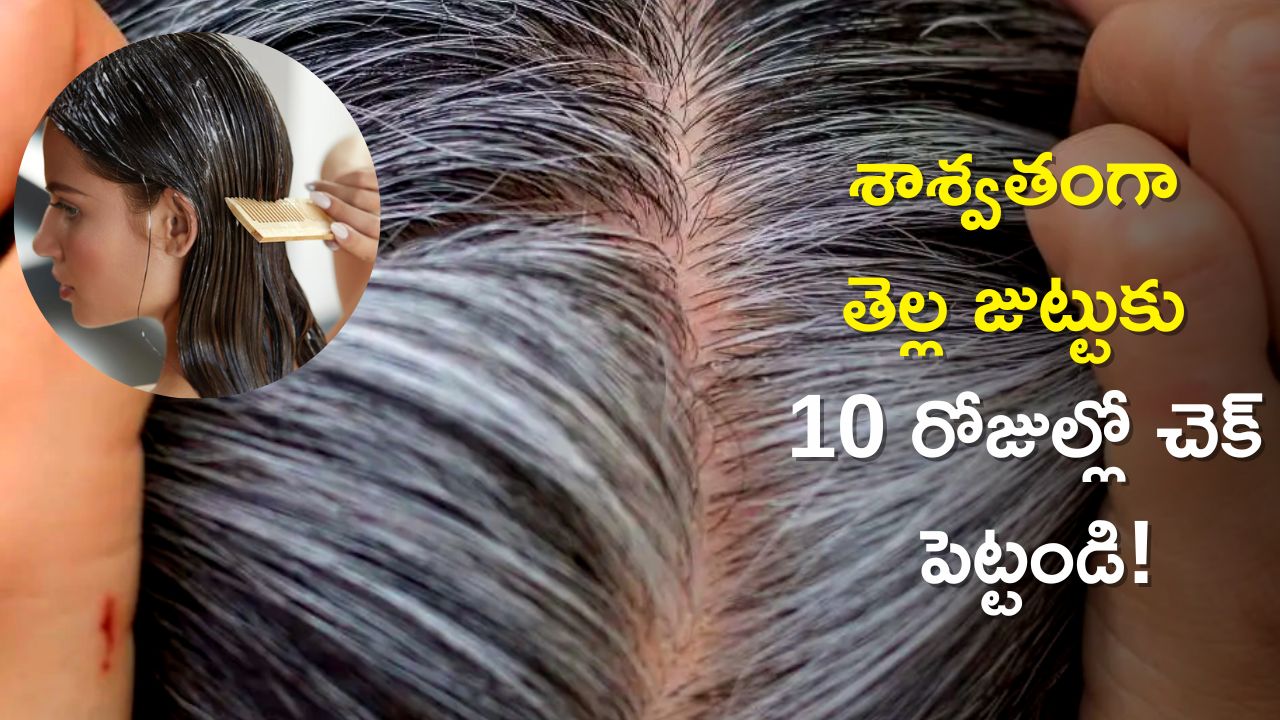   White Hair Problem Solution: ఎలాంటి ఖర్చు లేకుండా ఈ చిట్కాతో శాశ్వతంగా తెల్ల జుట్టుకు 10 రోజుల్లో చెక్‌ పెట్టండి!