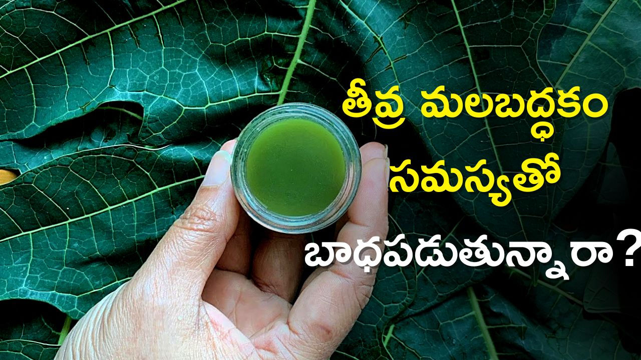 Remedies For Constipation Papaya Leaf Juice Can Rid Constipation