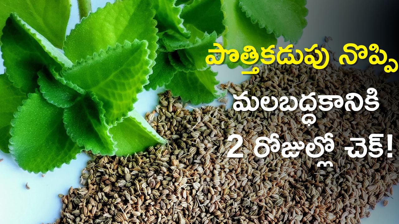 Ajwain Water Benefits Ajwain leaves Water Can Get Rid Abdominal Pain