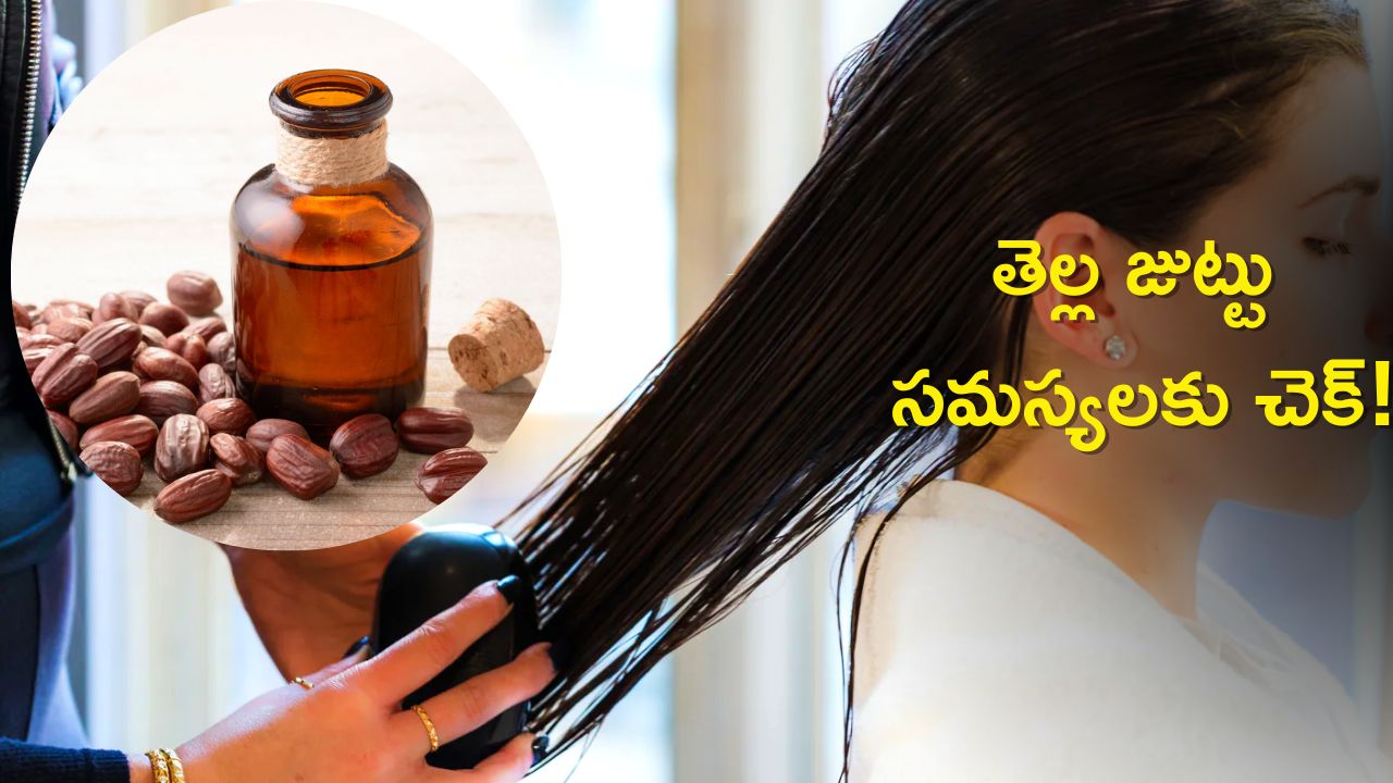 Best Hair Oil For Hair Growth: ఈ నూనెలతో తెల్ల జుట్టు సమస్యలు తగ్గడమేకాకుండా అన్ని రకాల సమస్యలకు చెక్‌!