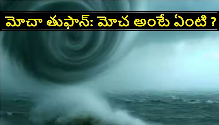 Cyclone Mocha Latest News: ఏపీ, తెలంగాణపై మోచా తుఫాన్ ప్రభావం ఉంటుందా ?