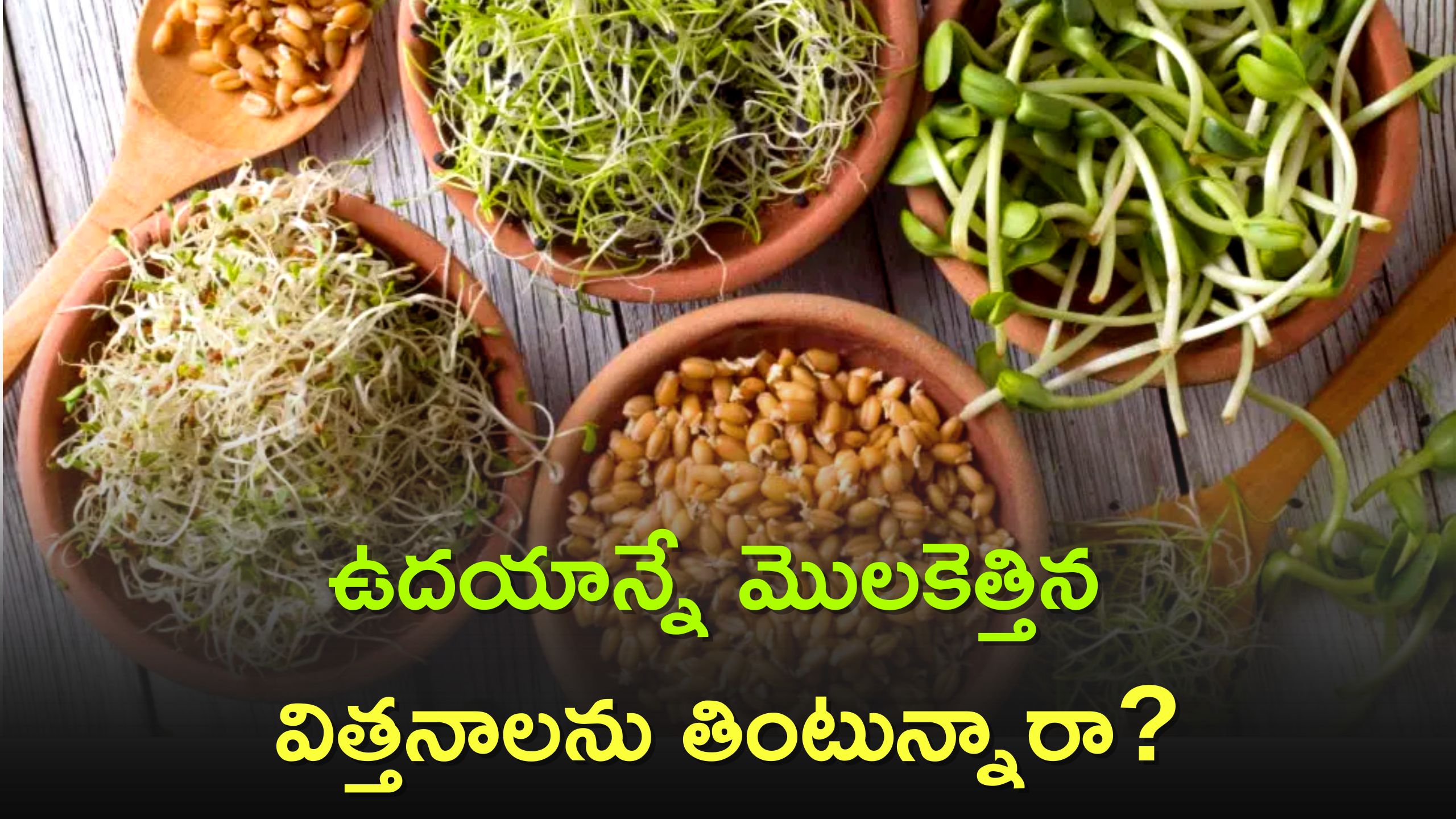 Sprouts Benefits Health Benefits Of Sprouts Broccoli Sprouts Benefits