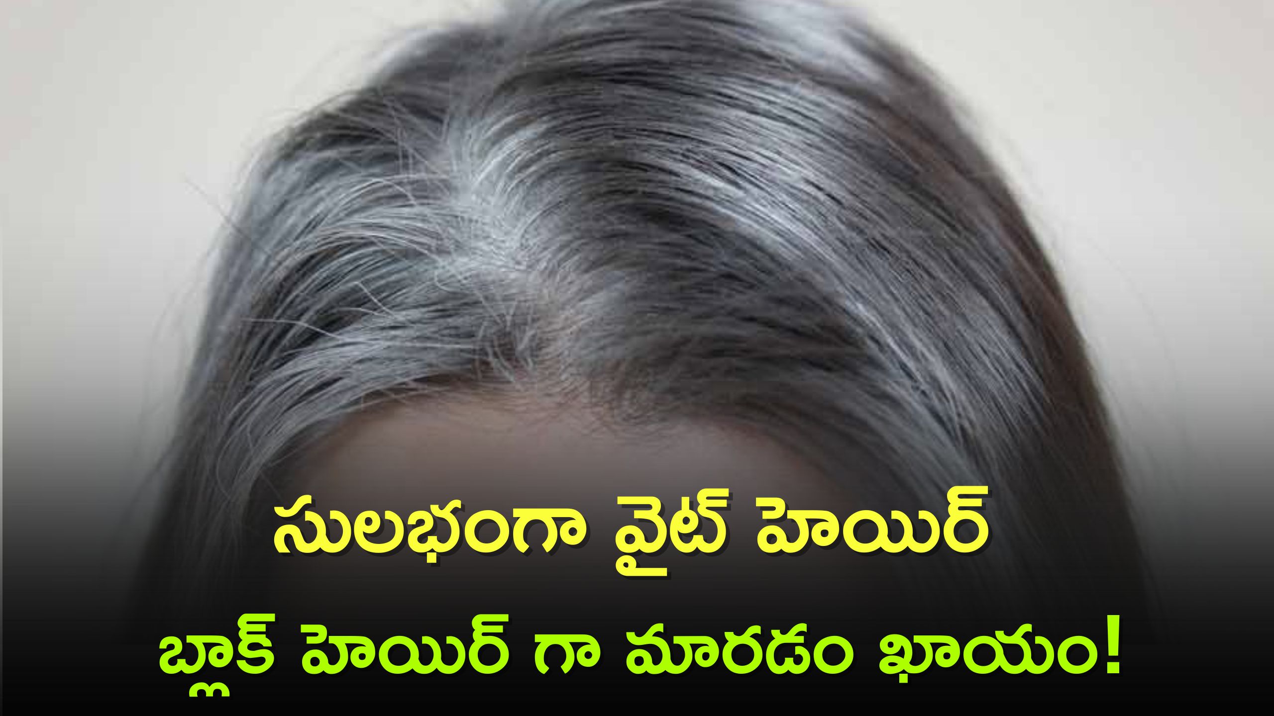  White Hair: తెల్ల జుట్టుతో బాధపడే వారందరికీ గుడ్ న్యూస్.. సులభంగా వైట్ హెయిర్ బ్లాక్ హెయిర్ గా మారడం ఖాయం!