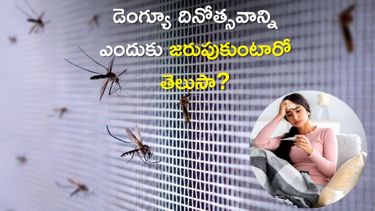 Dengue Day Theme 2023: ప్రతి సంవత్సరం డెంగ్యూ దినోత్సవాన్ని ఎందుకు జరుపుకుంటారో తెలుసా? 