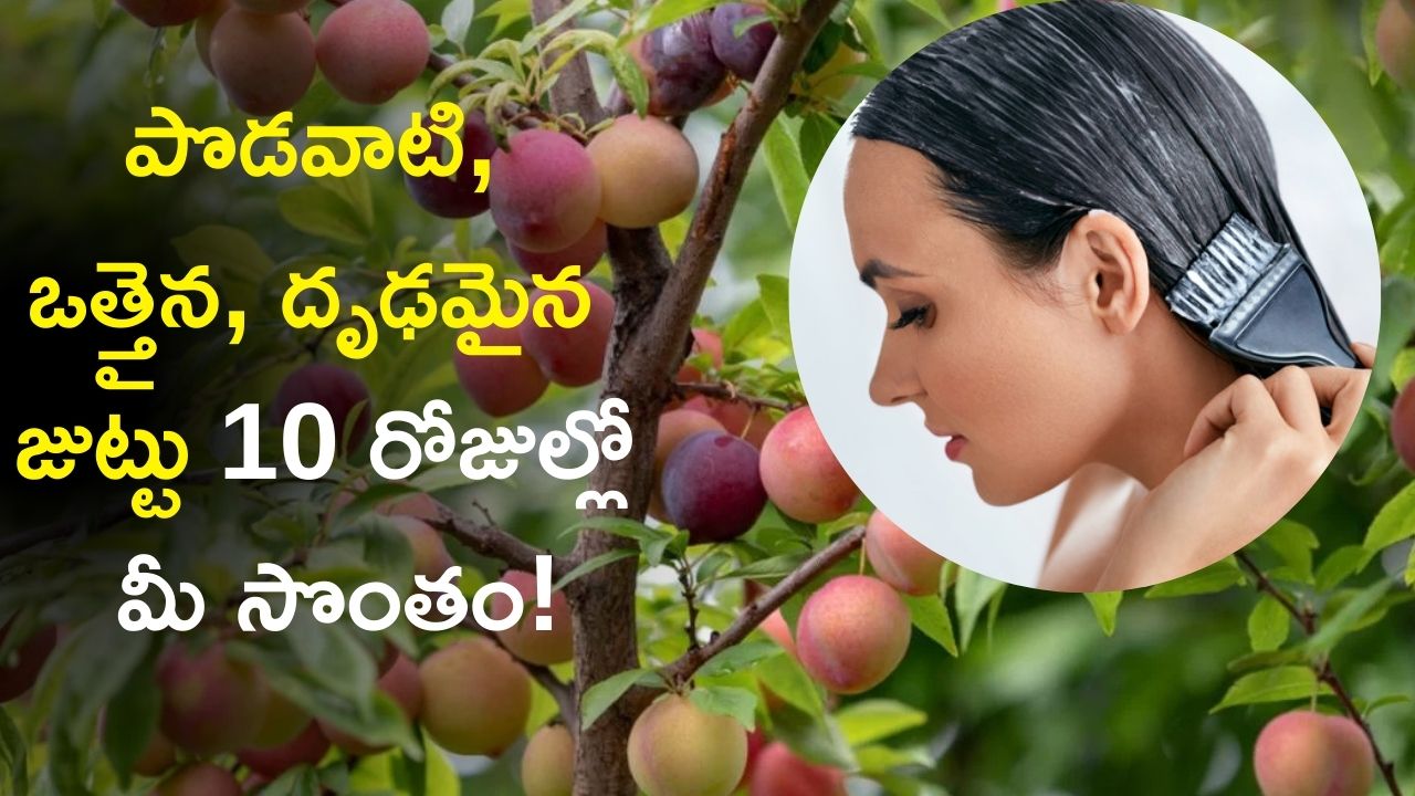 Hair Care Tips: ఈ హెయిర్‌ మాస్క్‌తో పొడవాటి, ఒత్తైన, దృఢమైన జుట్టు 10 రోజుల్లో మీ సొంతం!