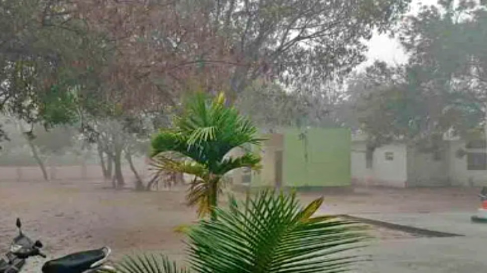 Heavy Crop losses in Telangana due to Unseasonal rains | Rains in ...