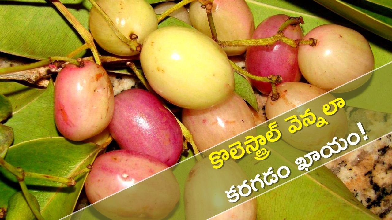 White Plums Reduce Bad Cholesterol Body Weight Loss In 9 Days Weight