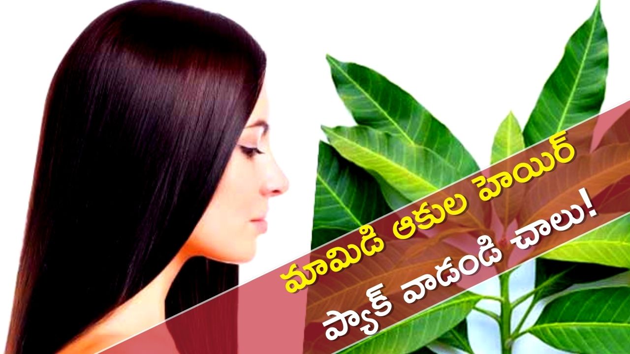 Hair Growth Tips: లాంగ్‌ హెయిర్‌ కోసం ఇలా మామిడి ఆకుల హెయిర్ ప్యాక్‌ వాడండి చాలు!