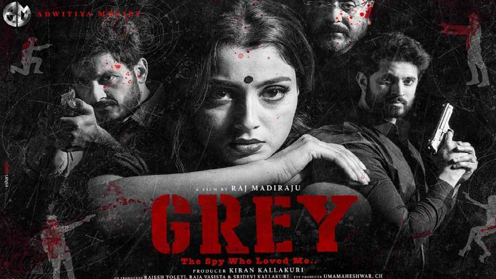 grey movie review telugu