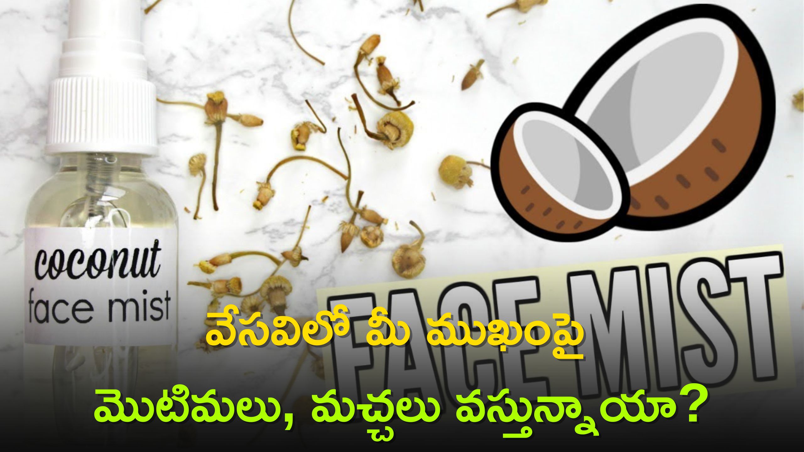 Over Night Pimples &amp; Blemishes Remove: పైసా ఖర్చు లేకుండా.. ఈ మిస్ట్ తో 5 రోజుల్లో మొటిమలకు, మచ్చలు చెక్!