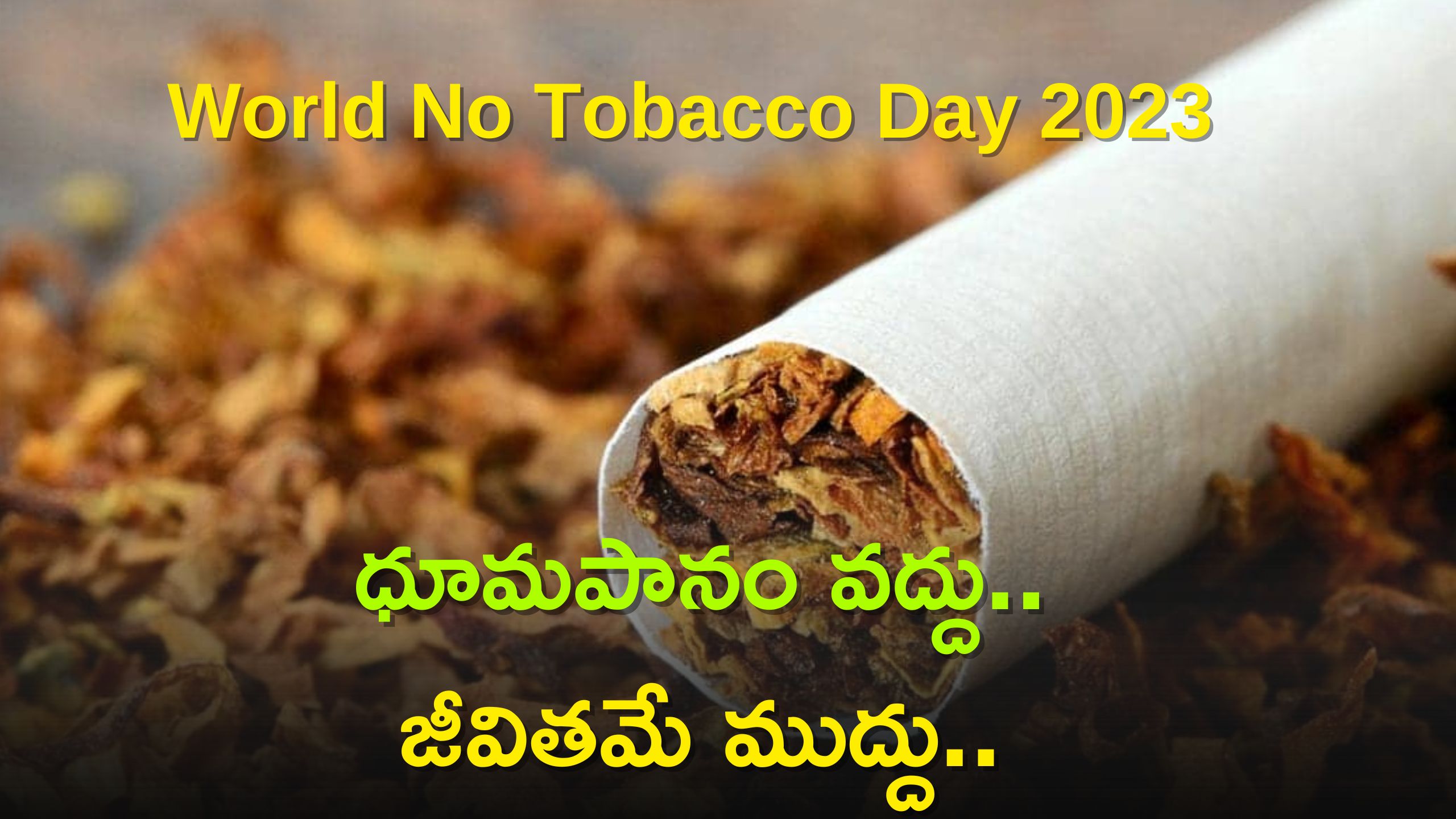 Empowering Change Inspiring World No Tobacco Day 2023 Quotes And History For a Tobacco Free